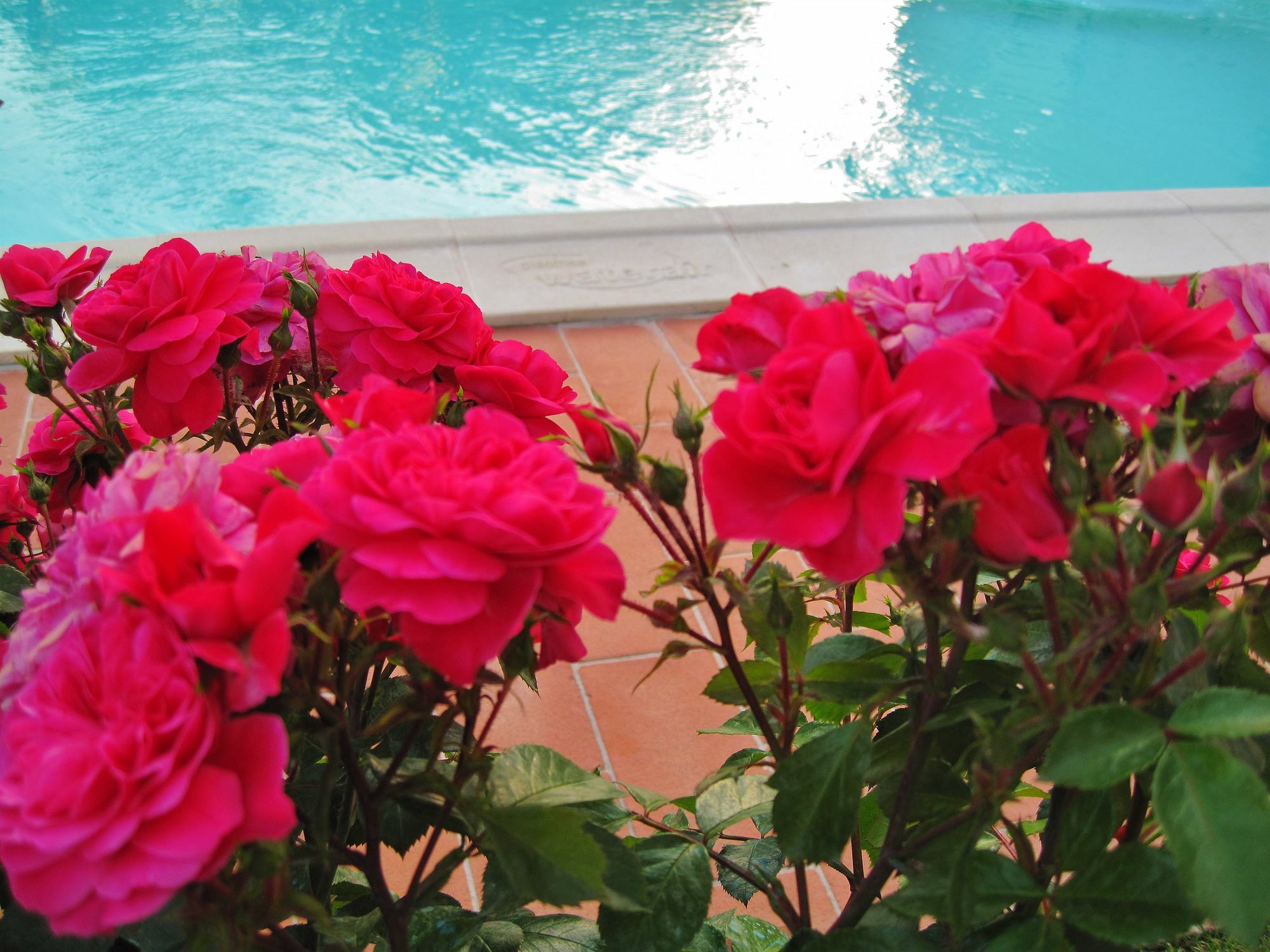 Lhp Hotel Certaldo Dış mekan fotoğraf